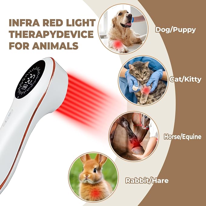 Handheld Home Cold Laser Therapy Device for Dogs and Pets, Vet Infrared Red Light Treament Machine with 808nm & 650n, LLLT Physiotherapy Equipment Portable, Animals Teddy Chihuahua Puppy Cat Horse