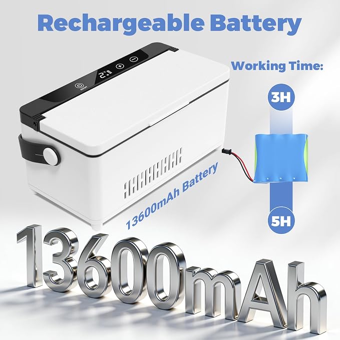 Electric Insulin Cooler Travel Case, Mini Insulin Fridge Box, Portable Insulin Refrigerator, Diabetic Insulin Cooler, TSA Approved Temperature Control LED Display, Rechargeable Battery