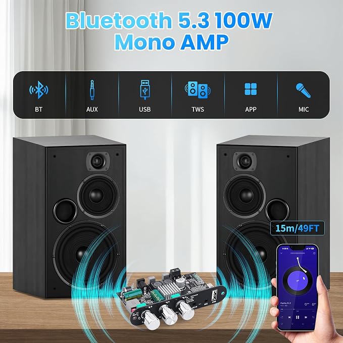 Bluetooth5.3 Mini Amplifier Board 100W Mono Power Amp with TWS Box, Karaoke Audio Amps Module with Boost for Home/Outdoor DIY Speakers, DC 9-24V, MIC and Reverb, Supports BT/USB/AUX Inputs