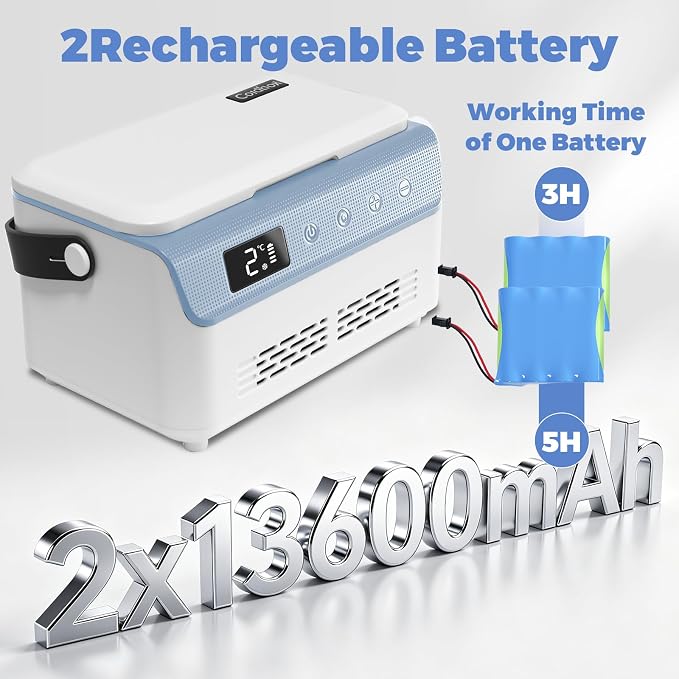 Electric Insulin Cooler Travel Case Box, Mini Insulin Fridge, Portable Insulin Refrigerator Diabetic Cooler Box for 4-5 Pens, 2-18℃ Temperature Control, with Handle, Power Supply, Rechargeable Battery