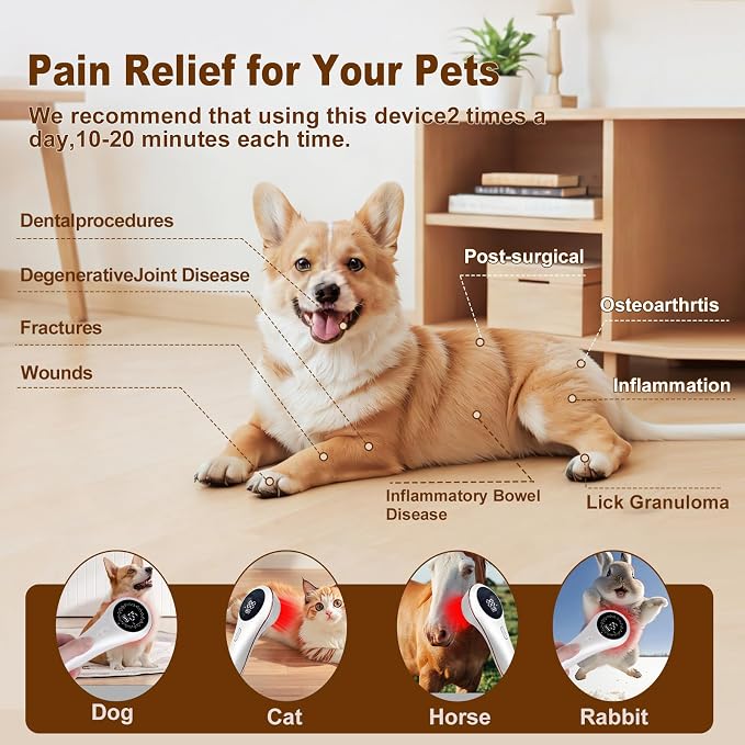 LLLT Cold Laser Therapy Device, Handheld Red Light Therapy for Dogs Cats Pets, Arthritis Human/Pet Pain Relief, Muscle & Joint Healing for Daily Home Use
