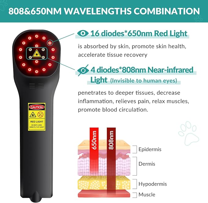 Dog Red Light Laser Therapy Device, 4x808nm+16x650nm, Cold Laser Therapy Devices for Pain Relief, Red Light Laser Therapy for Dog Arthritis, Home Vet Light Therapy Device for Dogs, Cats