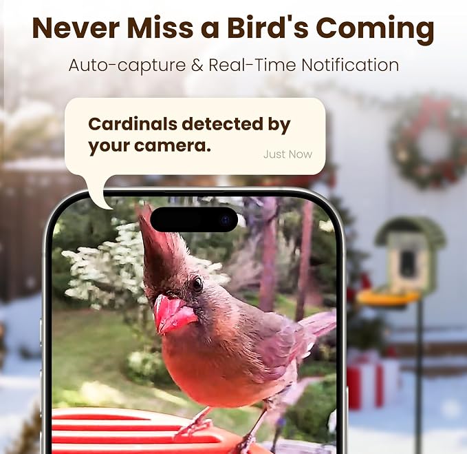 Smart Bird Feeder Camera with Bird Seed Guard (Green)