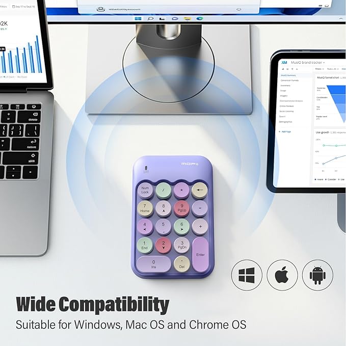 MOFII Cute Colorful Wireless Number Pad - 18 Keys, Portable 2.4 GHz with Stable Wireless Connectivity, 10-Key Financial Accounting Extension (Purple Colorful)
