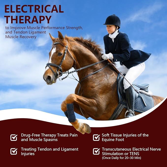 Cold Laser Therapy Device for Horse, Portable Red Light Therapy with 4pcs 808nm and 12pcs 650nm, Near Infrared Laser for Arthritis Pain Relief- Stimulation for Tendon, and Ligament Recover