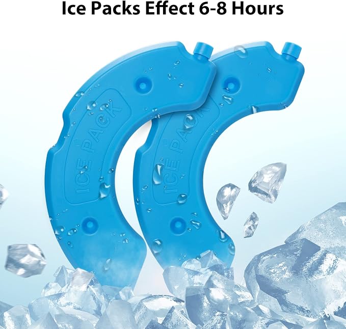 Buy Donut Frost WiFi Feeder with Extra Replacement Ice Packs Bundle