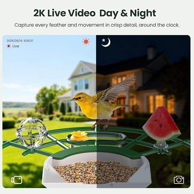 TECKNET Smart Bird Feeder with Camera, 2K UHD Video, AI Bird Species Identification, Instant Arrival Alerts, Solar Powered, Waterproof Birdhouse Camera, Gift for BirdLovers, Family, Green