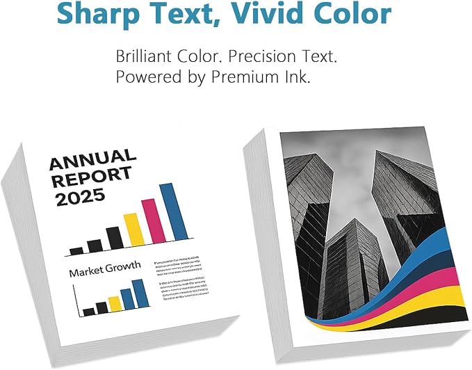 910XL Ink Cartridges Black Replacement for HP 910 XL Compatible for HP910 HP910XL to use with OfficeJet Pro 8020 8025 8028 8030 8035 8010 8015 8018 8022 Printers with V15.5.1 Chips (Black, 2-Pack)