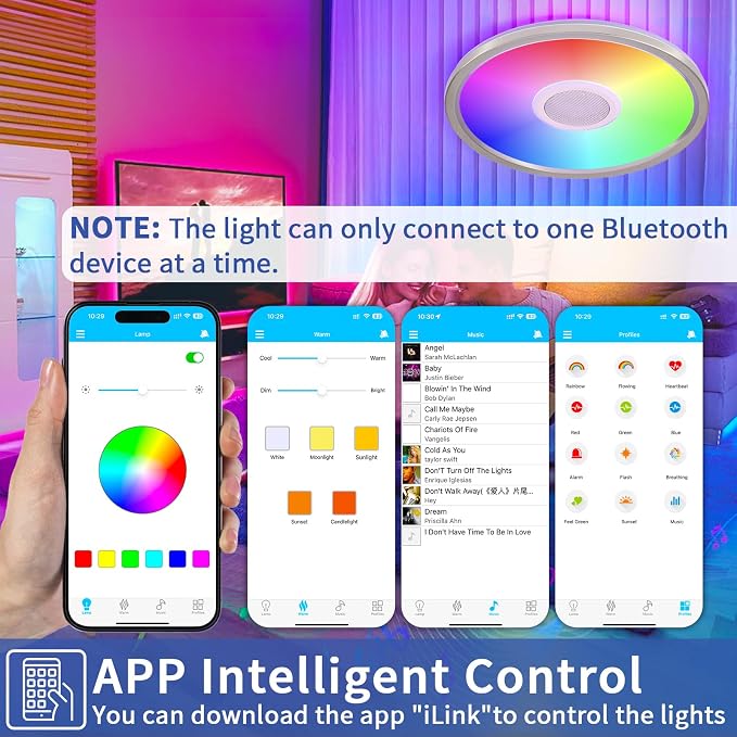 RGB LED Ceiling Light, with Bluetooth Speaker, 24W 12 Inch Smart Music Ceiling Lamp with App and Remote Control, 3000K-6500K Color Changing Lights Fixture for Child Bedroom Bathroom, Silver