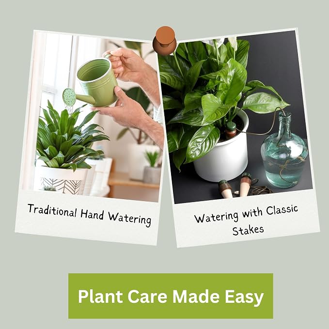 Blumat Classic Self-Watering Stakes - Prevents Overwatering and Underwatering for Healthy Growth While You are Away - Ideal for Indoor Plant Watering (12 Pack w/o Adapter)