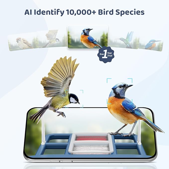 LIWAN Bird Feeder with Camera Solar Powered, 1 Year Trial AI Identify, 2K Live Video, Smart Bird Feeder Camera Wireless Outdoors, 2.4GHZ WiFi, Instant Arrival Alerts, Ideal Gift for BirdLovers