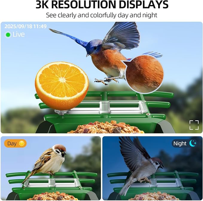 3K HD Smart Bird Feeder with Camera, 2.4GHz WiFi Solar Powered Smart Feeder, AI Bird Species Identification & Real-Time App Alerts, Chew-Proof & Waterproof for Outdoors（Green）-1