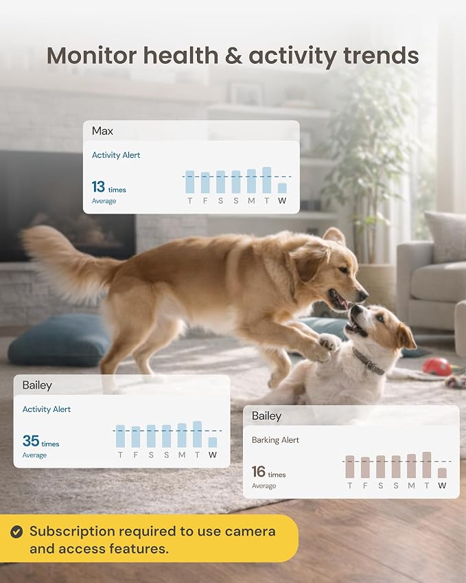 Furbo 360° Dog Camera + Mini 360° Cam [New Subscription Required at Setup] 2-Camera Bundle Nanny Subscription: Dog Safety Alerts, Pet Camera with Speaker, Phone App & Night Vision
