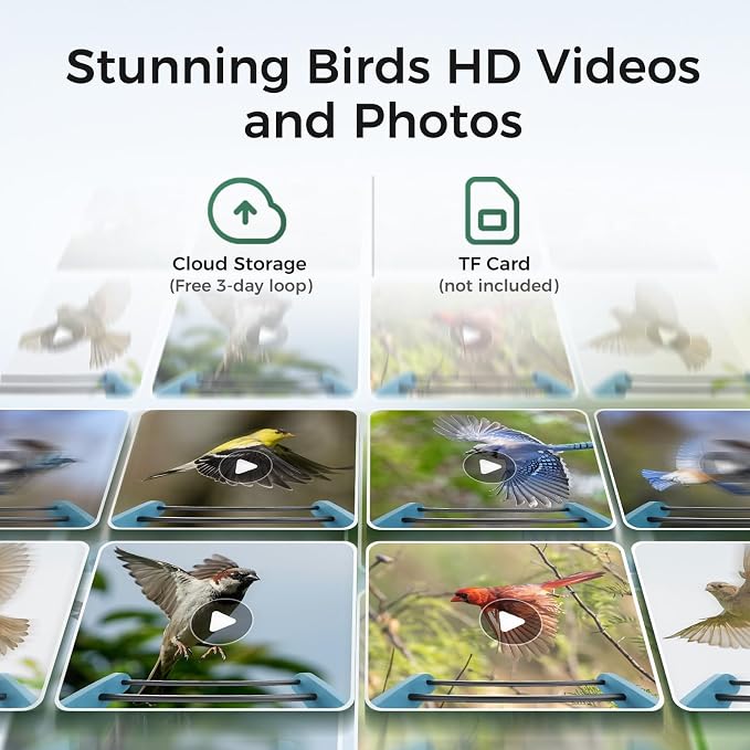 TT Nature Recycled Plastic Smart Bird Feeder with Camera, Solar Powered, AI Identifies 10,000+ Birds Species, Auto Capture 2K Videos & Instant Alerts, Ideal Gift for Family and Lover