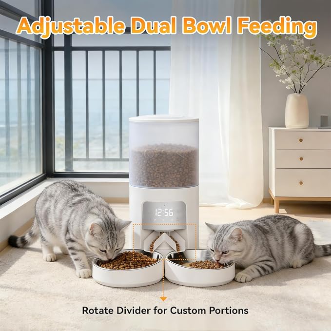 NEWBULIG Automatic Cat Feeder for 2 Cats, 6L/25.3 Cups Timed Pet Feeders with Dual Bowls, 10s Voice Recorder, Dog Food Dispenser for Dry Food, 6 Meals/Day, 50 Portions/Meal, Dual Power Supply, White