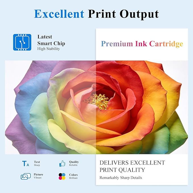 902XL Black Ink Cartridges Compatible for HP 902 Black Ink Cartridges Combo Pack Work with HP Printer OfficeJet Pro 6978 6968 6960 6958 6970 6975 6950 Printer Ink Black 902 Ink High Yield (2 Pack)