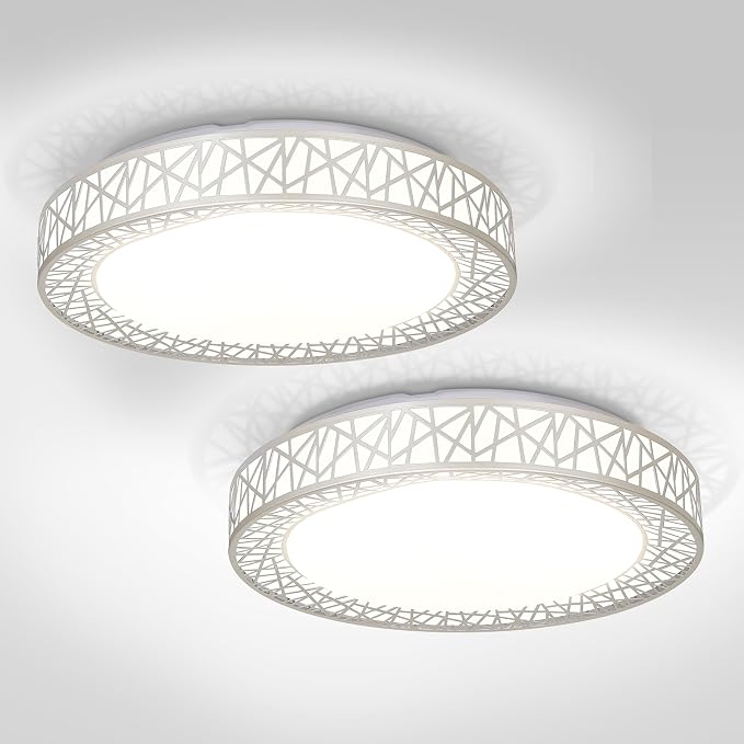 ASD 18 Inch LED Flush Mount Ceiling Light Fixture for Bedroom, 35W 1992LM 5CCT 2700K-5000K, Dimmable Lights, Dining, Living Room, Kitchen Lamps, Modern Home Lighting Fixtures, Nickel, ETL, 2 Pack