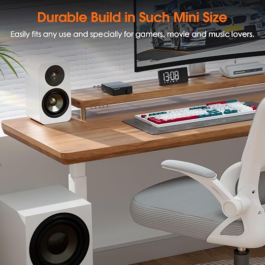 Nobsound Mini Mono Subwoofer Amplifier: 100W HiFi Amp with TPA3116 & Low-Pass Filter for Home Theater, Bass Shaker, Gaming, Subwoofer, Speaker (NS-21G)