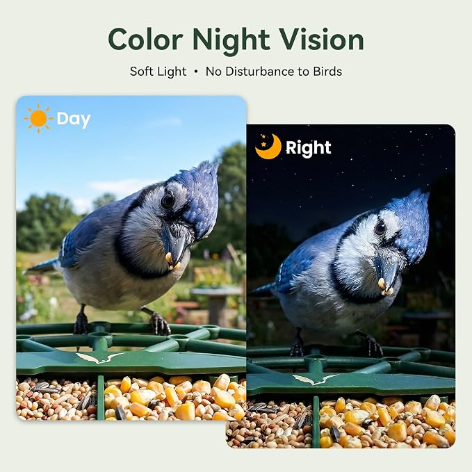 Smart Bird Feeder with Camera, AI Identify Birds Species, 2K HD Color Night Vision, IP65 Waterproof Solar Powered Bird Feeder with 142° Wide Angle, Auto Capture & Real-Time Notifications, Ideal Gift