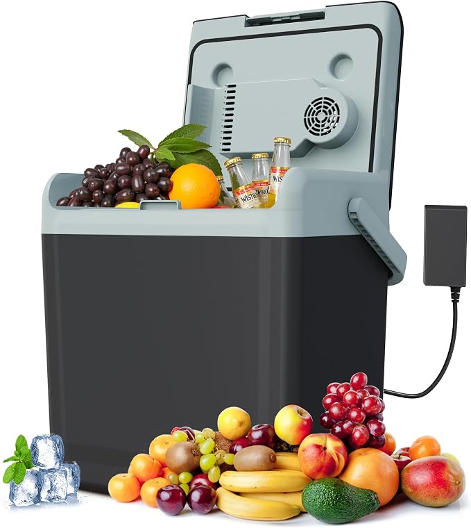 25QT Portable Electric Cooler & Warmer with Handle – Dual Heating & Cooling Mini Thermoelectric Car Fridge for Vehicles, Truck, Travel, Camping, Picnics and Home, Black