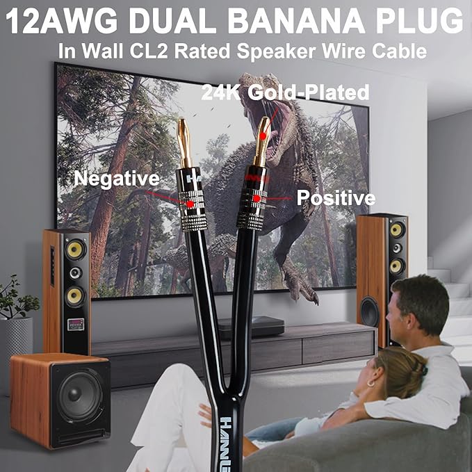 12AWG Speaker Cable (10 Feet), 1 Pack Premium Heavy Duty Braided Speaker Wire with Dual Gold Plated Banana Plug in-Wall CL2 Rated, Oxygen-Free Copper (Black)