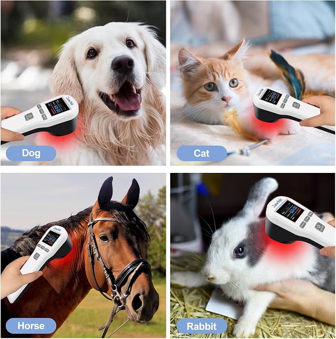 Cold Laser Therapy Device for Dogs, 4x808nm+16x650nm, Red Light Therapy for Pain Relief & Аrthritis, Cold Laser Therapy Device Pets, Home Laser Therapy Machine for Dogs, Cats, Horses, Animals
