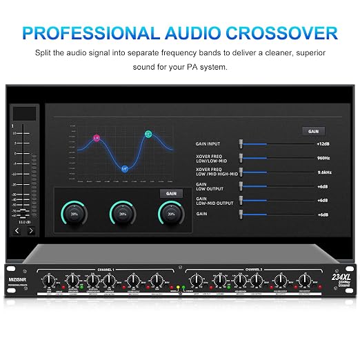 Professional 2/3 Way Stereo/4 Way Mono Crossover with XLR Input and Output, Stereo Audio Sound Processing for PA System with Subwoofer