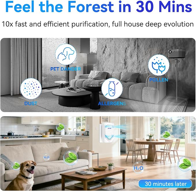 6Pack Air Ionizer Plug In, Filterless Home Negative Air Purifier, Quiet Air Freshener Portable Cleaner for Odors Smoke Dust, Air Purifiers for Home Office, Bedroom, Bathroom (6Pack_BL)