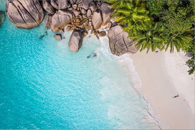 ART.COM Stretched Canvas Print Tropical Beach with Sea and Palm Taken from Drone. Seychelles Famous Shark Beach - Aerial Photo by IM_photo, 24" x 16"
