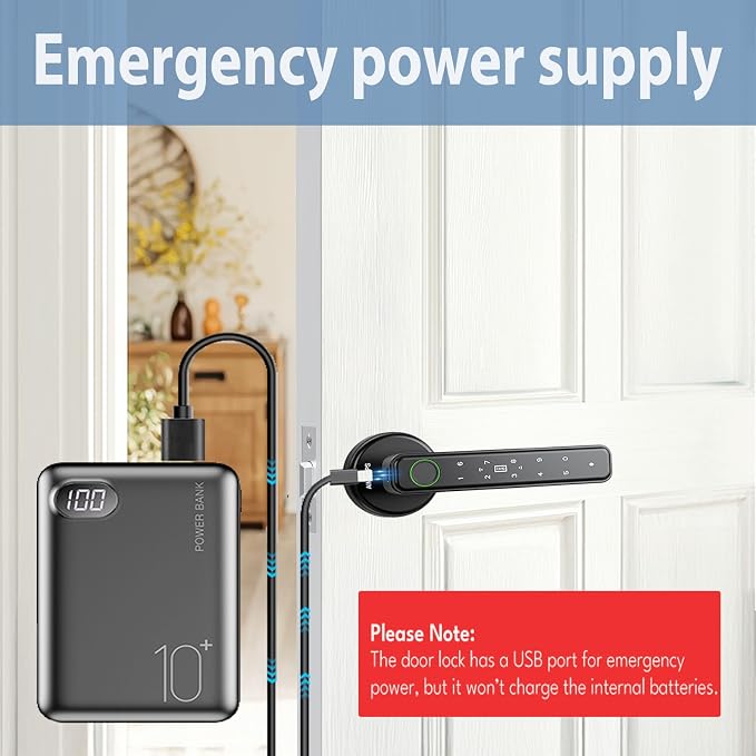 Fingerprint Door Lock, Door Locks for Bedroom, Keyless Entry Door Knob with Handle,Generate Passcode App Remotely-Smart Door Lock for Apartment, Office-Black