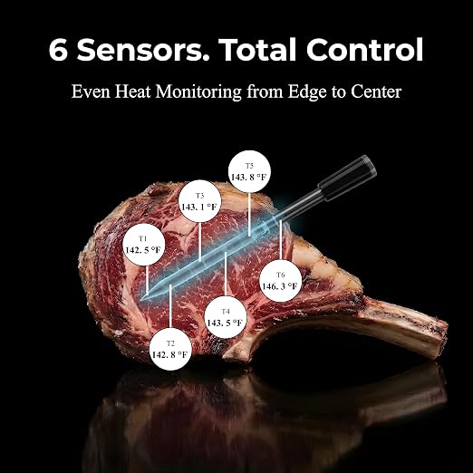 Smart Wireless Meat Thermometer with WiFi & Bluetooth, 2 Probes with 6 Sensors Each, App-Controlled Real-Time Monitoring, IP67 Waterproof for BBQ, Grill, Oven, Smoker, Air Fryer & Rotisserie