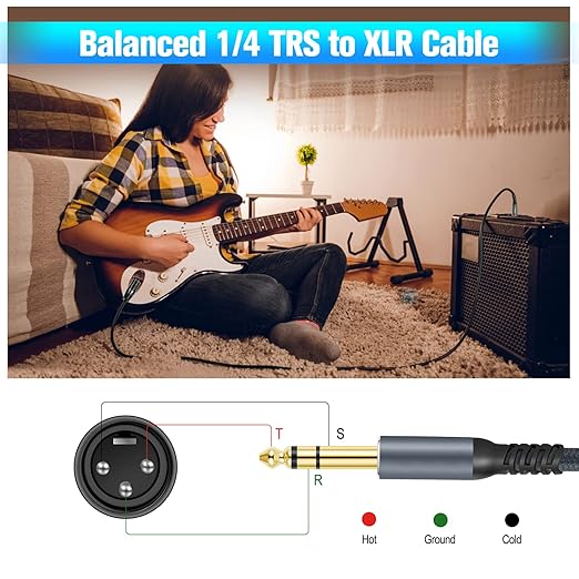 Twozoh XLR Male to 1/4 TRS Stereo Audio Cable 30FT 2 Pack, Braided Jack 6.35mm to XLR Male 3Pin Guitar Cable (Professional/HiFi)