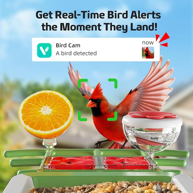 Bird Feeder with Camera, 2K HD Smart Birds Feeder with Solar Panel, AI Bird-Recognition, Instant Motion Alerts, Auto Capture BirdVideos, Outdoor Birdhouse Feeder Gift for Bird Lovers