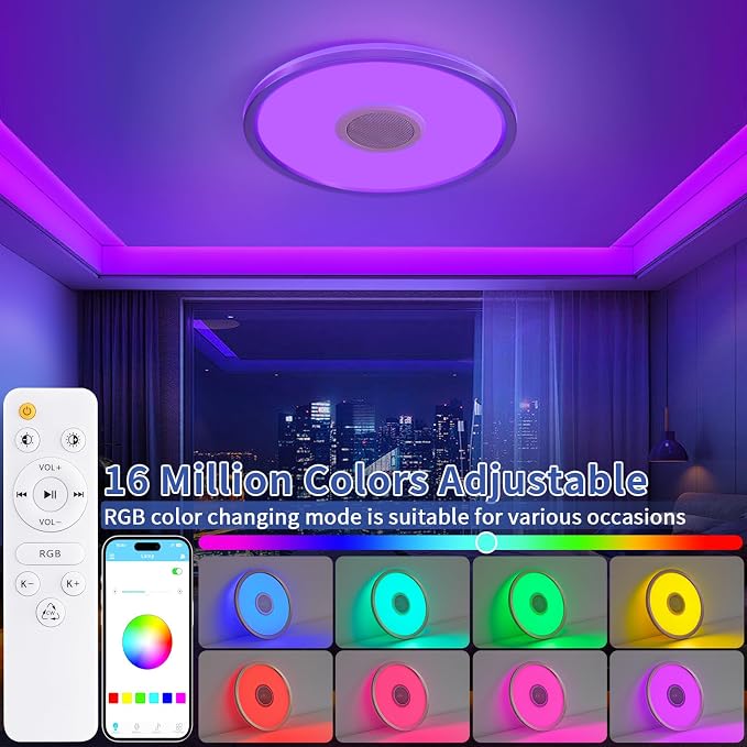 RGB LED Ceiling Light, with Bluetooth Speaker, 24W 12 Inch Smart Music Ceiling Lamp with App and Remote Control, 3000K-6500K Color Changing Lights Fixture for Child Bedroom Bathroom, Silver