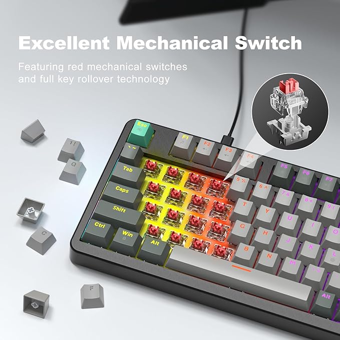 MOFII AK96 Mechanical Gaming Keyboard, Full Keys LED Backlit Programmable, Plug and Play USB A/C Wired Computer Custom Keyboard with Sound/Light Control Knob for Win/Mac - Gray & Black