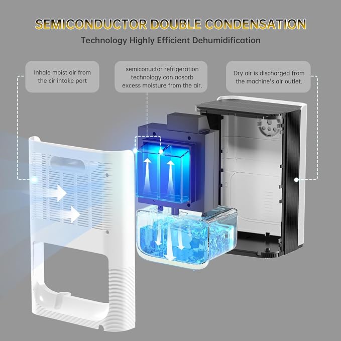 PTHRAOUTA Dehumidifier for Room for Home, (850 sq.ft) Small Dehumidifiers with Drain Hose, Safe Drainage Auto-off Odor Removal 2 Duak-Core Portable Mini Deshumificador Bathroom RV, 50 OZ Water Tank