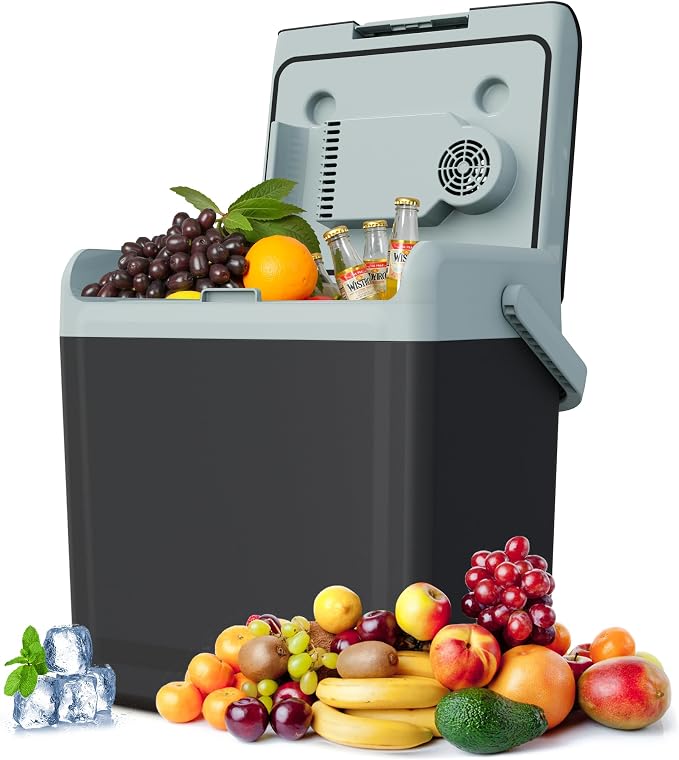 25QT Portable Electric Cooler & Warmer with Handle – Dual Heating & Cooling Mini Thermoelectric Car Fridge for Vehicles, Truck, Travel, Camping, Picnics and Home, Black