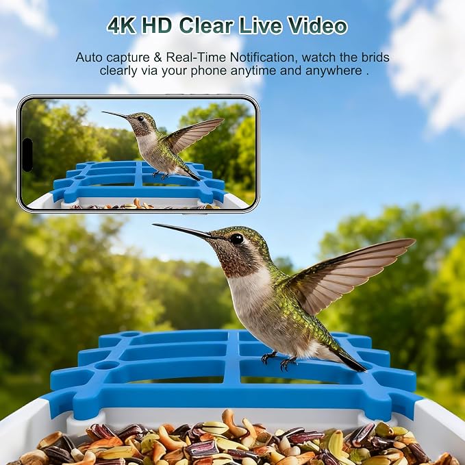 Smart Bird Feeder with Camera Solar Powered, Green | AI Bird Identification for 10000+ Species, 4K HD Live Video & Instant Alerts, 2.4GHz WiFi, IPX7 Waterproof