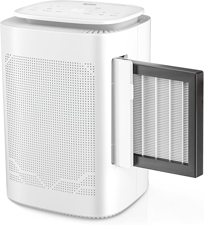Dehumidifier and Air Purifier Combo HEPA H13 Filter and Negative Air Ion Function,54oz(1600ML) Water Tank with Drain Hose,24hrs Auto-Off Timer,Idea for Bedroom,Bathroom(W)