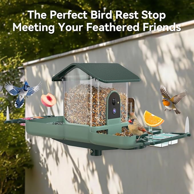 Dual-Lens Bird Feeder with Camera & Bird Bath Combo, Watch Birds Eat & Bathe with WiFi 2K HD Video, Auto Record, AI Recognition, APP Alerts, Solar Powered, for Backyard Garden Porch Fence Decor