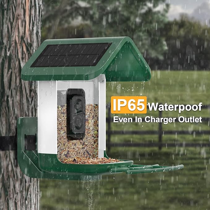 Bird Feeder with Camera Solar Powered : Smart Camera Bird Feeder 2K Live Feed Cam for Outdoor Backyard - Ai Identify Auto Capture Videos Pictures, Gifts for Birdlover Mom Dad, 2.4GHz WiFi