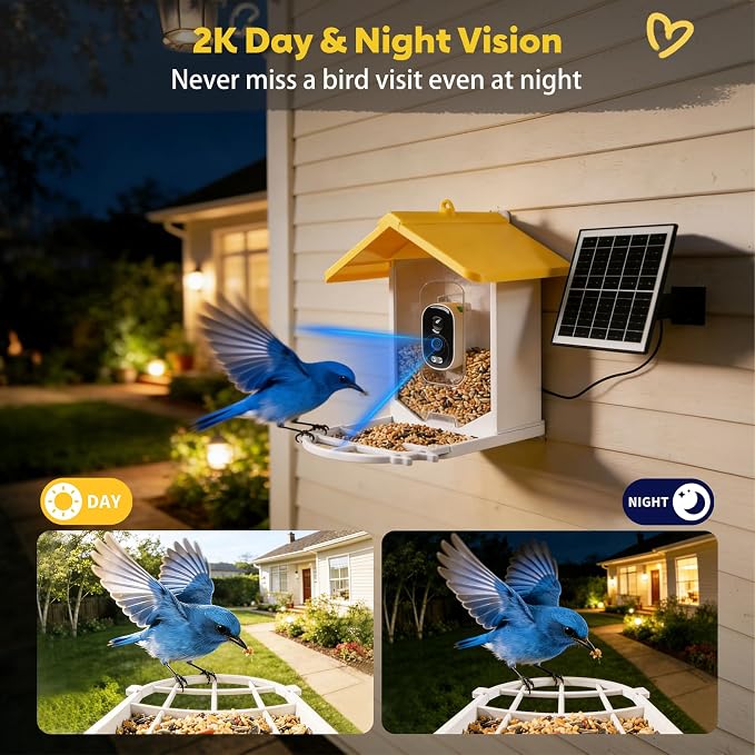 Smart Bird Feeder with Camera Solar Powered, 2K HD Live Video Bird Watching for Outside Garden, AI Identify 11000+ Species by Subscription, Instant Arrival Alerts, Gift for BirdLovers