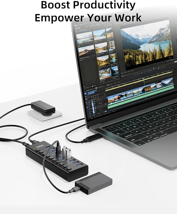 AGEEN 10-Port USB 3.2 Gen 2 Hub, 10Gbps High-Speed Aluminum Powered Hub with 48W Adapter, Individual Switches & Surge Protection for PC/Laptop, Flash Drive, Printer, Camera