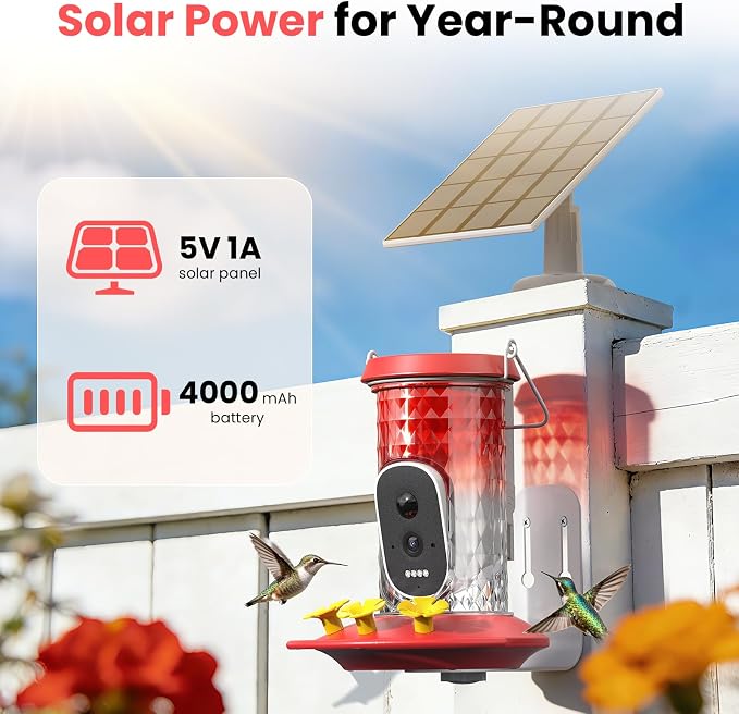 Smart Hummingbird Feeder Camera with AI Identification, 2.5K HD & Color Night Vision, Solar Powered Outdoor, IP66 Weatherproof – Garden Decor & Premium Gift