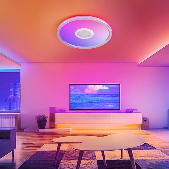 RGB LED Ceiling Light, with Bluetooth Speaker, 24W 12 Inch Smart Music Ceiling Lamp with App and Remote Control, 3000K-6500K Color Changing Lights Fixture for Child Bedroom Bathroom, Silver
