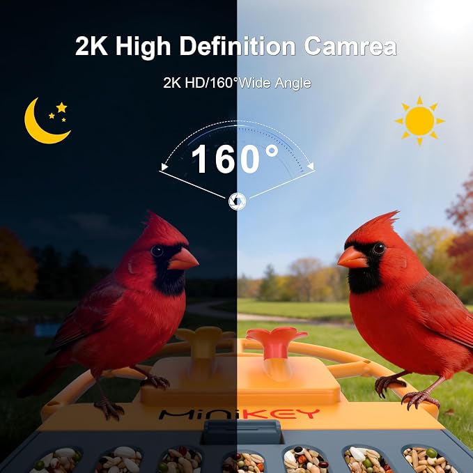 Smart Bird Feeder with Camera Outdoor Birdhouse: AI Identifies 11000+ Species, 2K HD with Arrival Alerts, Attracts Hummingbirds, Solar Powered