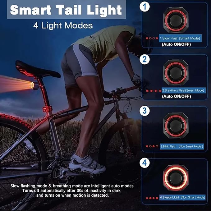 Bike Tail Light,Anti-Theft Bicycle Alarm Horn Wireless Remote Control USB Charging Smart Auto Brake Sensing IP65 Waterproof 110db Electronic Alarm Bell, Black