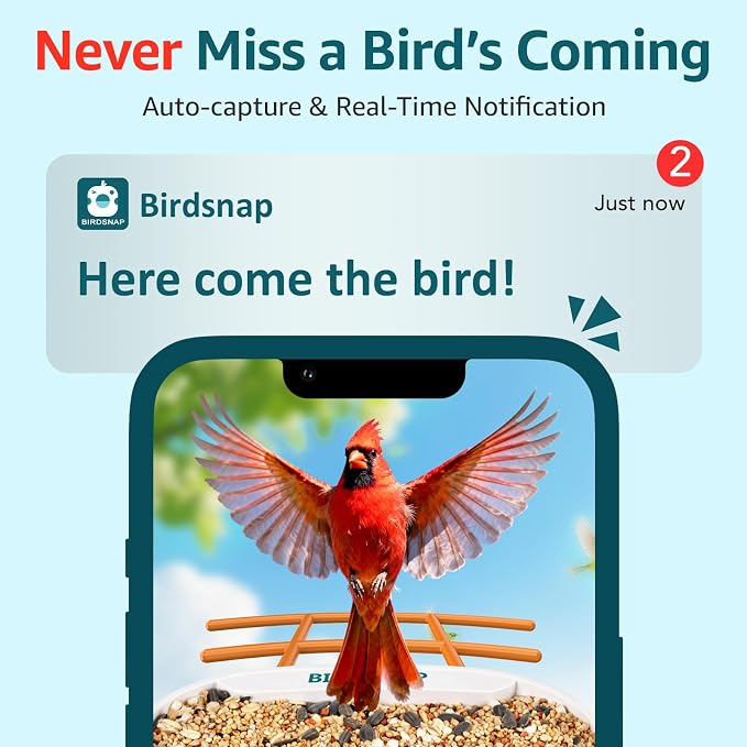 birdsnap® TUC Bird Feeder with Camera 2K HD Live with 32GB Card Auto Detect & Notify AI Identify Camera Birds Feeders Solar Powered Wireless Outdoors Backyard Gift for Mom Dad Birds Lover, 2.4G WiFi