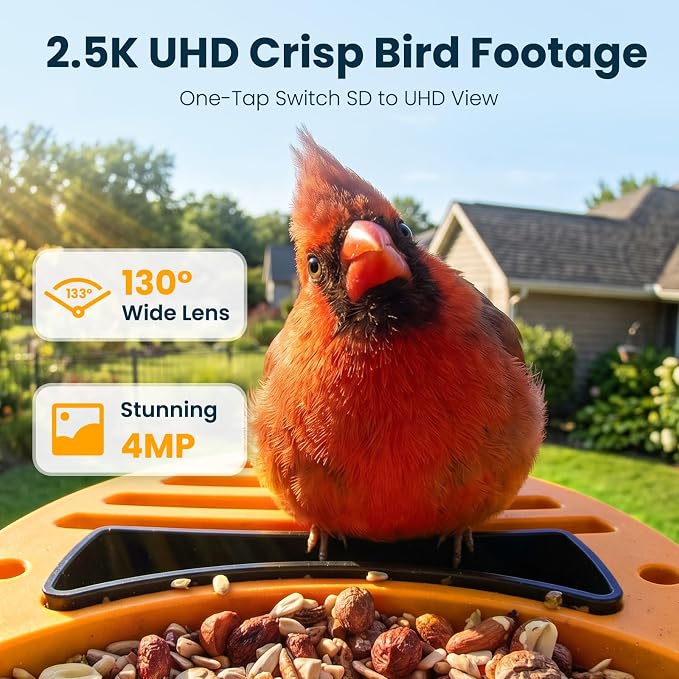 Smart Bird Feeder with Camera, 2.5K UHD Bird Feeder Camera Solar Powered, Sensitive AI Identification, Instant Alerts Capture Video, IP66 Waterproof Bird-Watching Feeder, Ideal Gift for Dad, Green