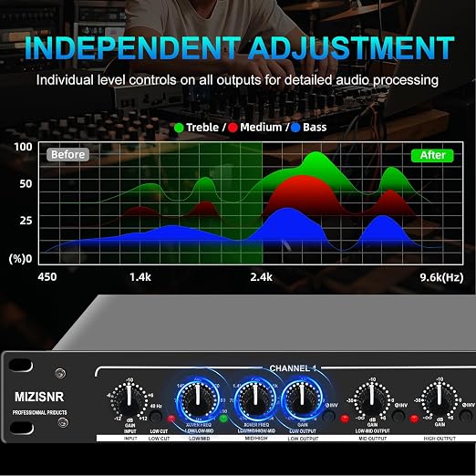 Professional 2/3 Way Stereo/4 Way Mono Crossover with XLR Input and Output, Stereo Audio Sound Processing for PA System with Subwoofer